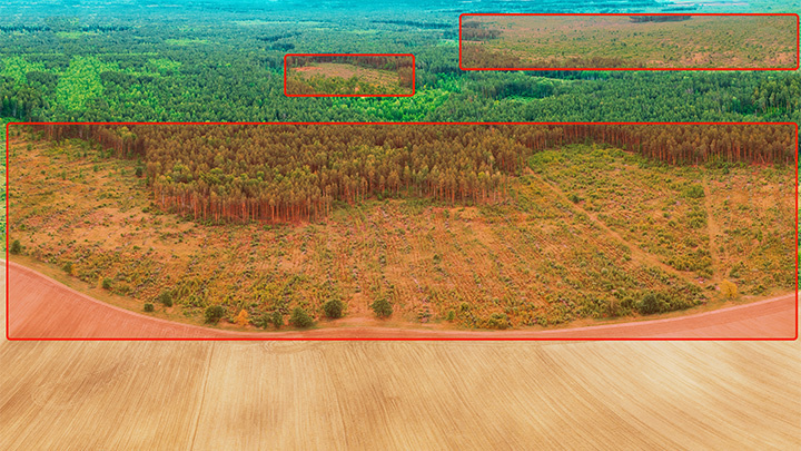 Land-Cover Change Detection